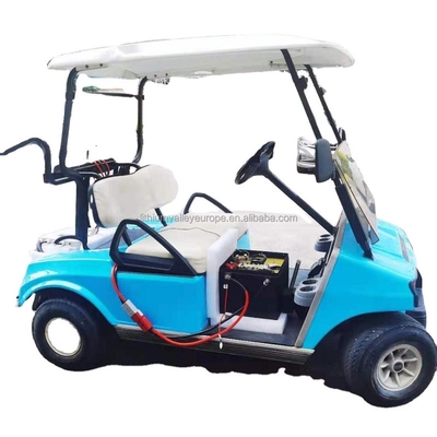 Lifepo4 van de het Lithiumbatterij van de Golfkar het Pak 48V 100AH 105AH 200AH met Mededeling