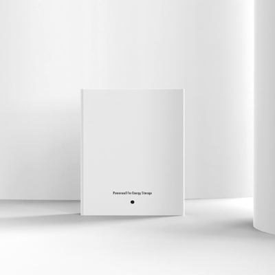 het Lithium Ion Battery For Home 20KW 15KW 100Ah van 48V 5KWH Powerwall